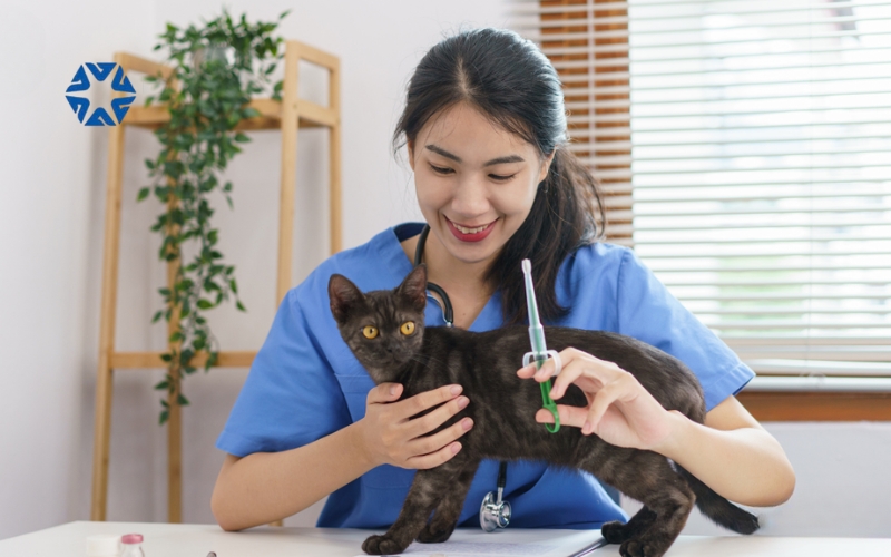 Lợi ích khi học văn bằng 2 đại học bác sĩ thú y