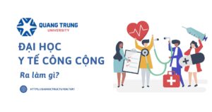 Đại học Y tế công cộng ra tường làm gì?