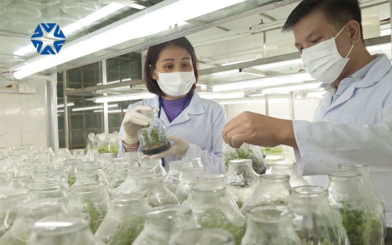 Hướng đi nào giành cho Đại học Dược?