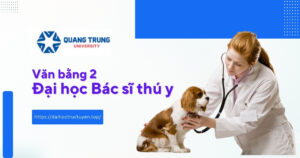 Văn bằng 2 đại học bác sĩ thú y