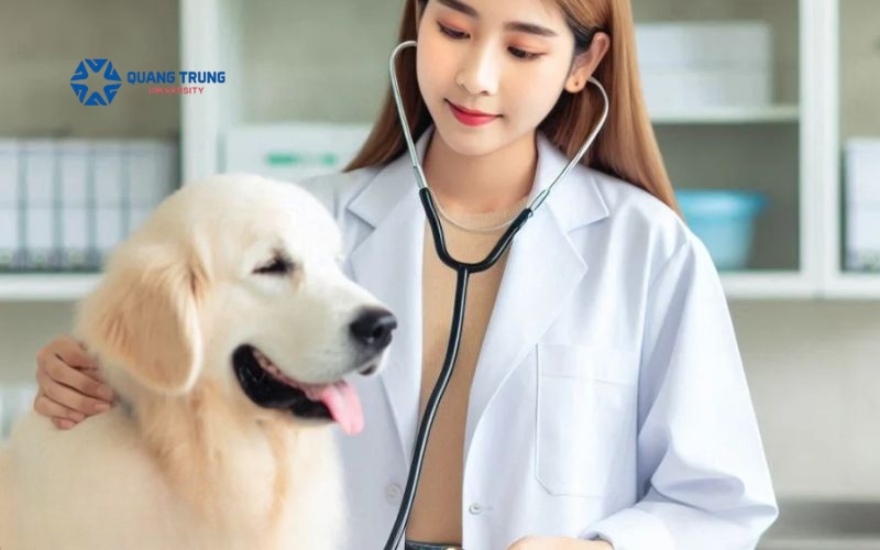 Ai nên học Đại bác sĩ thú y vừa học vừa làm
