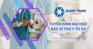 Đại học Bác sĩ thú y từ xa