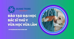 Đại học Bác sĩ thú y vừa học vừa làm