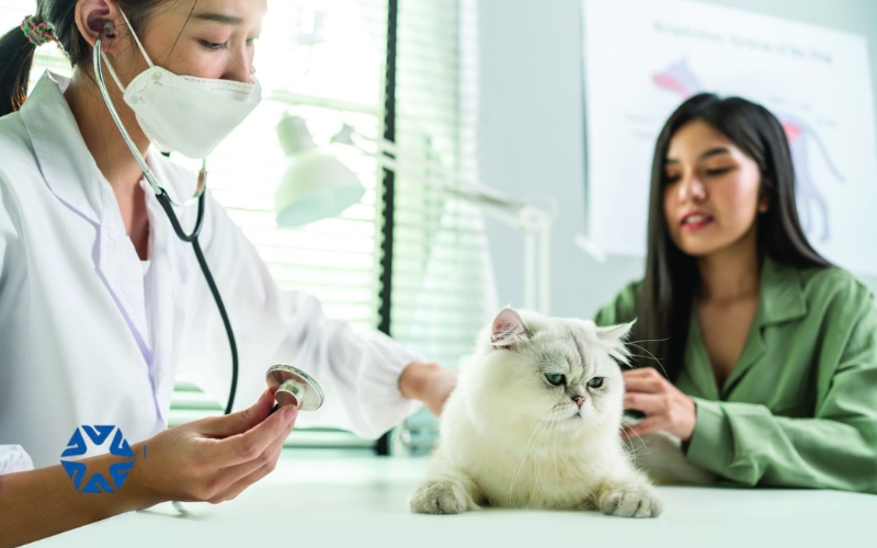 Mục tiêu đào tạo bác sĩ thú y từ xa