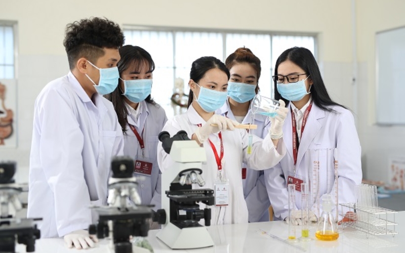 Tìm hiểu về Đại học Dược chính quy