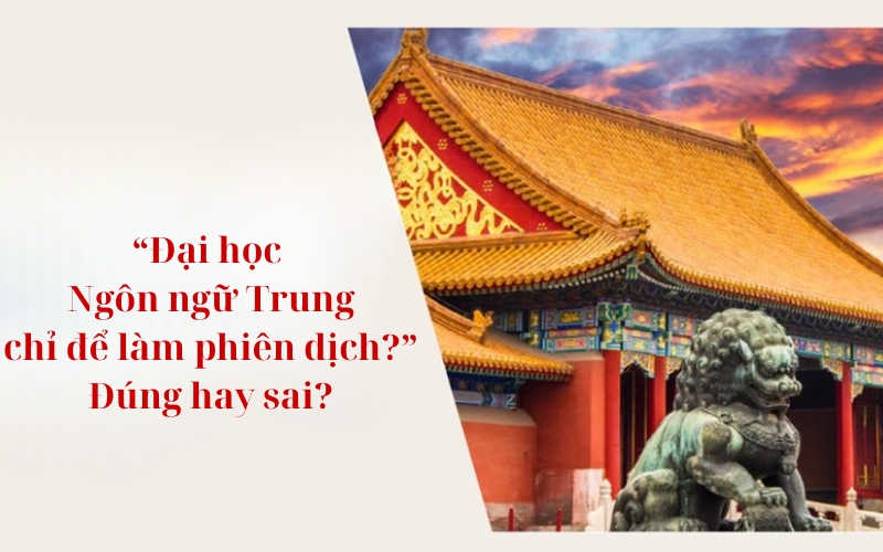 Phá bỏ định kiến “ Đại học Ngôn ngữ Trung chỉ để làm phiên dịch”