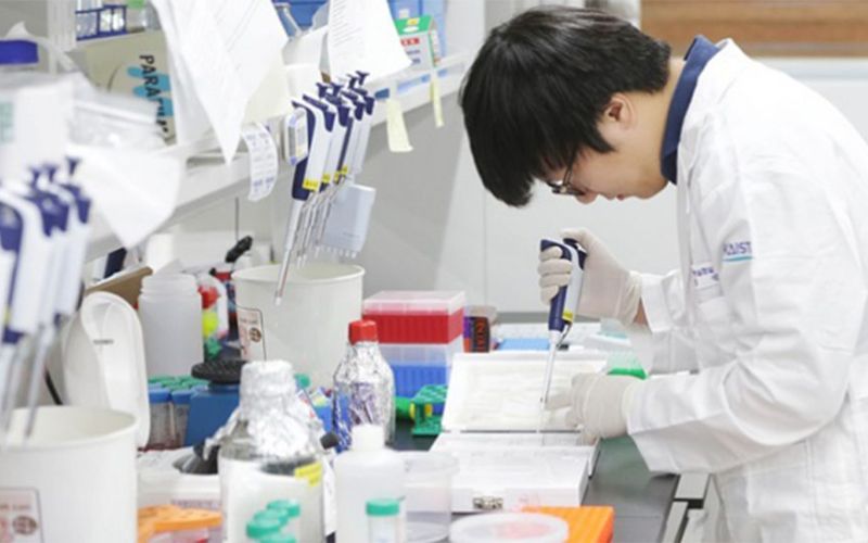 Học Đại học ngành Dược sẽ được học những gì?