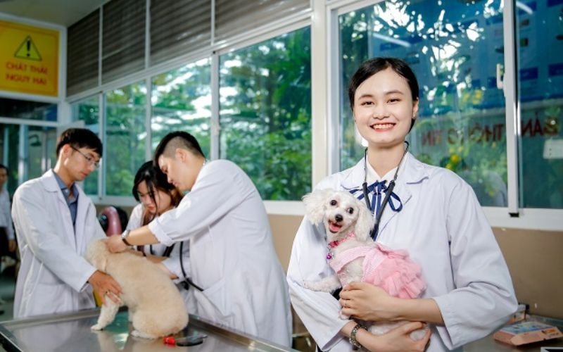 Giá trị bằng Đại học ngành Thú Y online