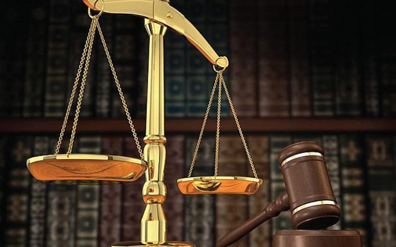 Ngành Pháp luật học những gì?