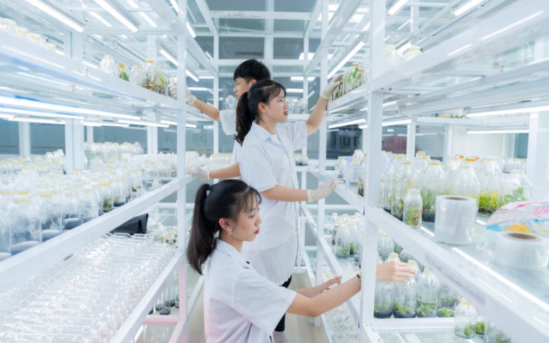 Tốt nghiệp Văn bằng 2 ngành Công nghệ sinh học có thể làm những công việc gì?