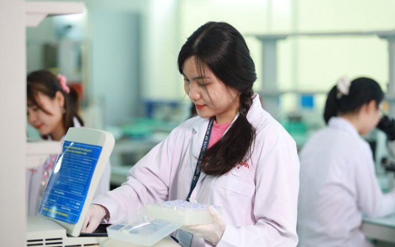 Chương trình xét học bạ ngành Dược học những gì?