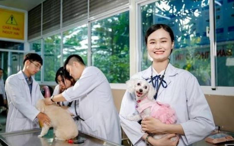 Học ngành Thú Y học cuối tuần có khó không?