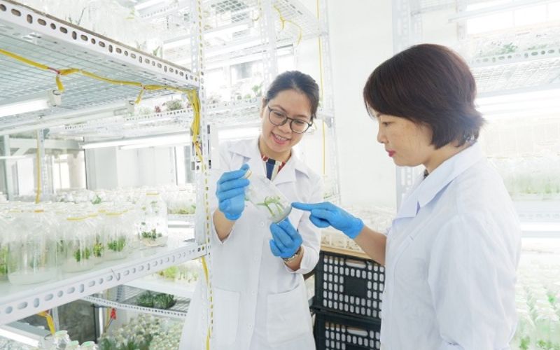Trường xét học bạ ngành Công nghệ sinh học nên chọn thế nào?
