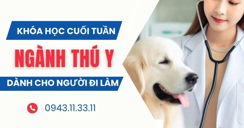 Tuyển sinh ngành Thú Y học cuối tuần dành cho người đi làm
