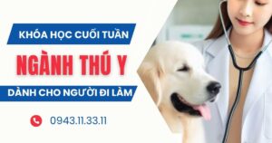 Tuyển sinh ngành Thú Y học cuối tuần dành cho người đi làm