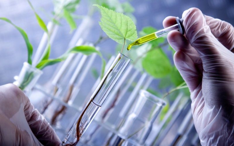 Đại học ngành Công nghệ sinh học Từ xa là gì?