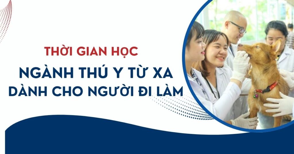 Thời gian học ngành Thú Y Từ xa dành cho người đi làm