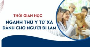 Thời gian học ngành Thú Y Từ xa dành cho người đi làm