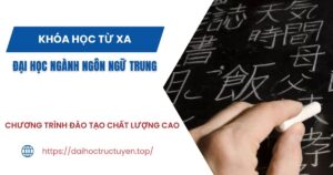 Tuyển sinh Đại học ngành Ngôn ngữ Trung Từ xa dành cho người bận rộn